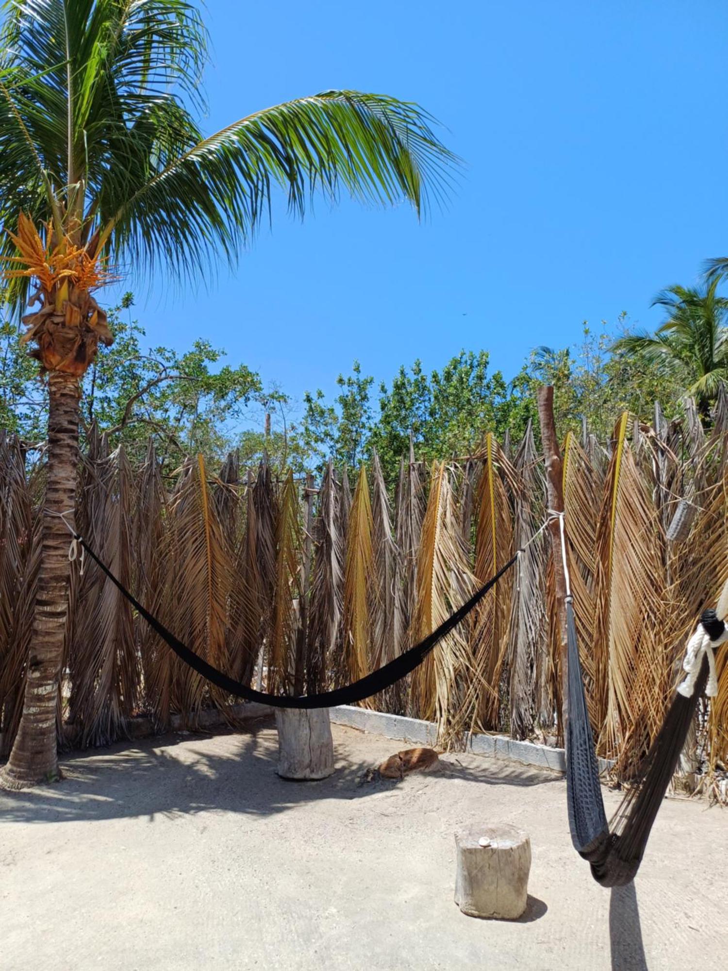 Aparthotel Casa Sofia Holbox Extérieur photo